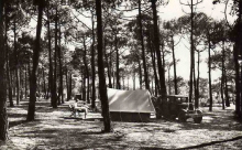 Fromentine : Camping sous les pins