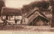Fromentine : Bourrines dans la fort de pins