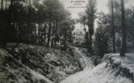 Fromentine : Le Chemin de la Valle