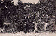 Fromentine : Dans la fort de pins