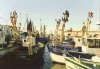 Ile d'Yeu - Le Port - 1985  - Photo JLB