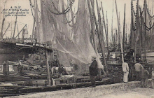 Ile d'Yeu :  Vue du port pendant la pche  la sardine