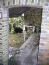 Marcilly le Hayer : vestiges du vieux lavoir du Moulin - 2008 - Photo JLB
