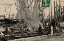 Ile d'Yeu : Coin du port pendant la pêche à la sardine